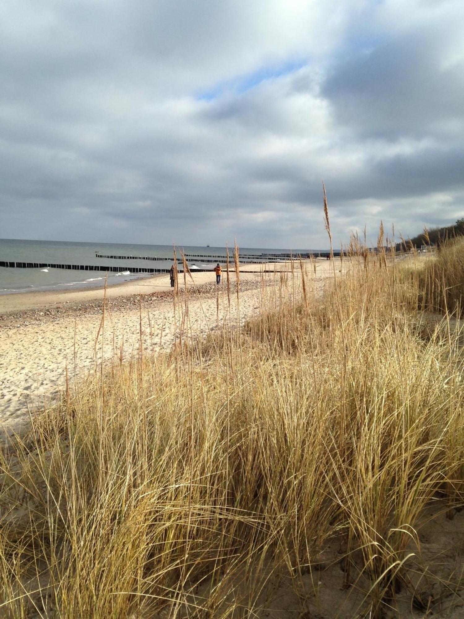 Ferienhaus Nele Ostseebad Kühlungsborn 外观 照片